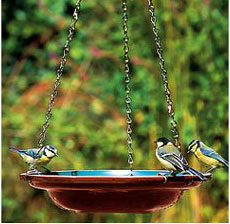 Easy Steps To Clean A Bird Bath